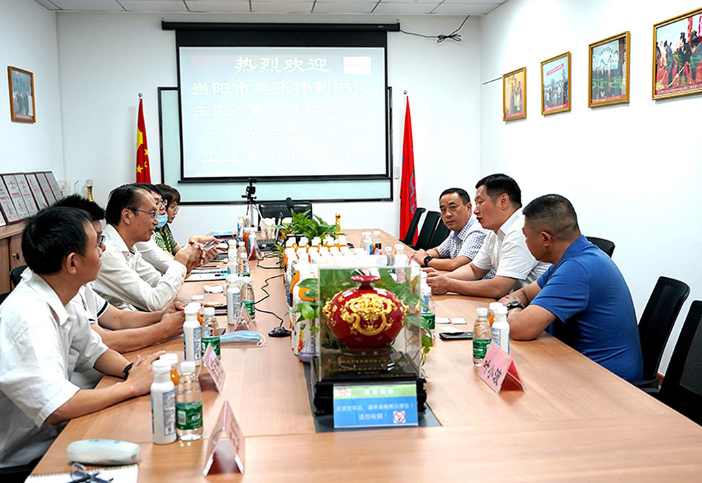 湖北宜昌當(dāng)陽市委副書記張偉來集團參觀考察